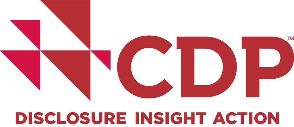 CDP icon