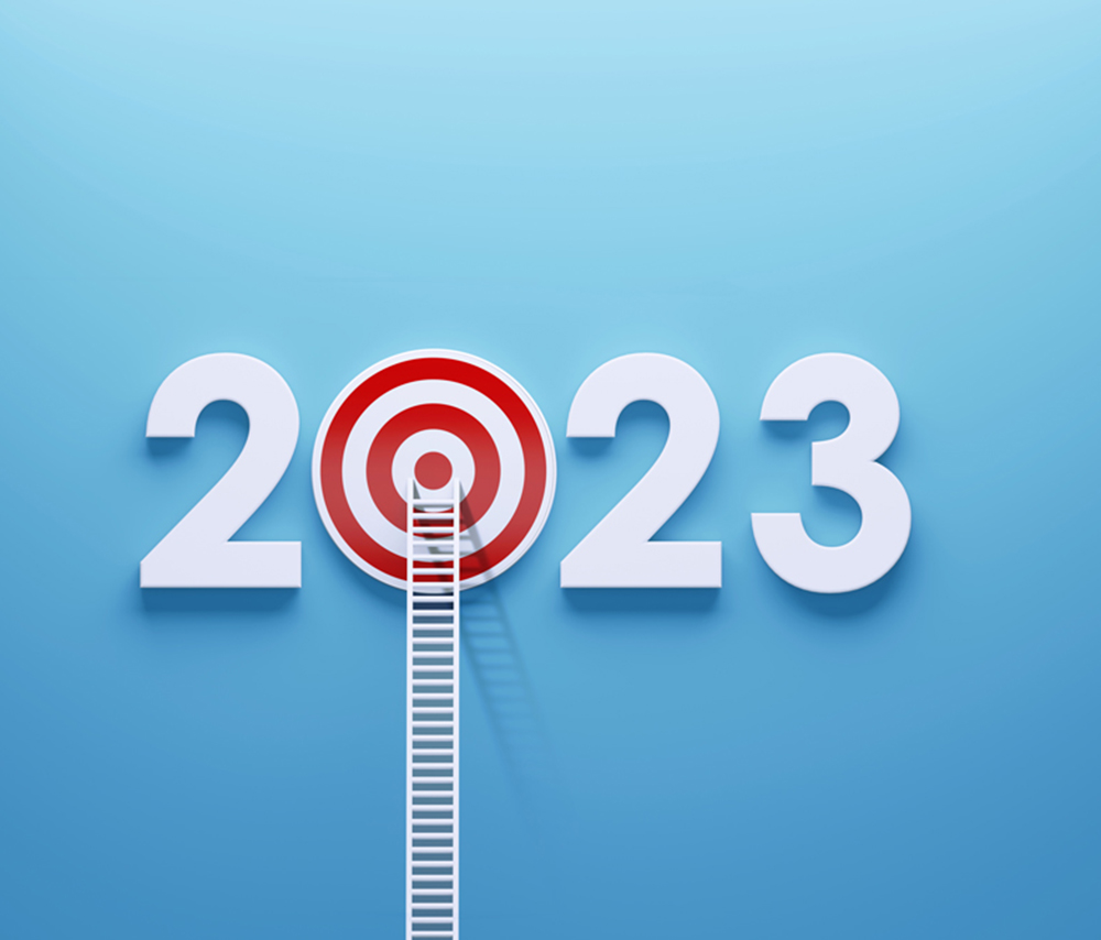 2023 Blog Image with Target and Ladder