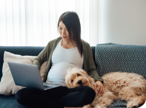 Pregnant woman sits cross-legged on sofa and surfs on a laptop while her dog rests its head in her lap.